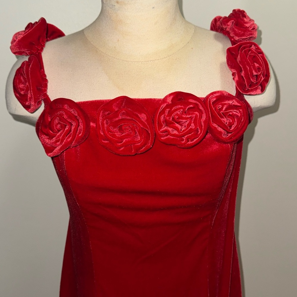 Avec Les Filles Red Mini Dress